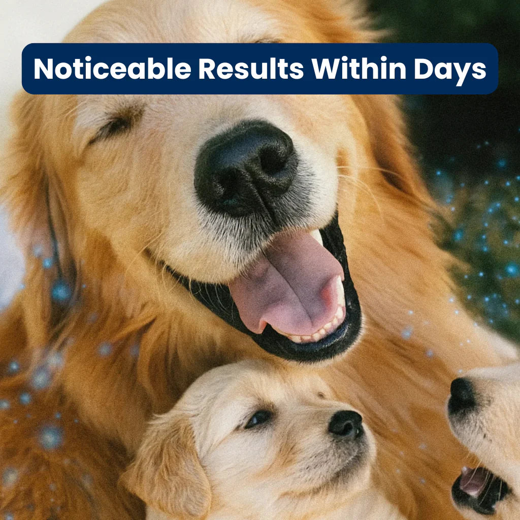 ZonesClean Calming Diffuser For Dogs